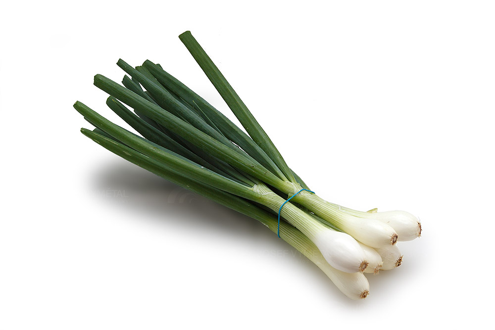 Cibule () Cibule