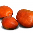 Kompot z&nbsp;bio d�n�